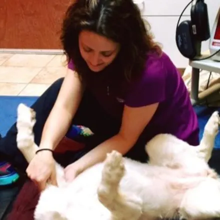 Lisa Starr examining dog